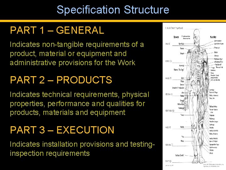 Specification Structure PART 1 – GENERAL Indicates non-tangible requirements of a product, material or