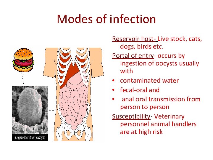 Modes of infection Reservoir host- Live stock, cats, dogs, birds etc. Portal of entry-