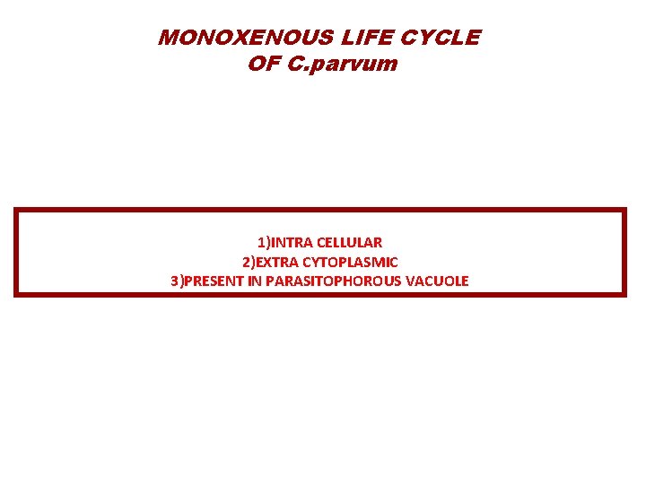 MONOXENOUS LIFE CYCLE OF C. parvum 1)INTRA CELLULAR 2)EXTRA CYTOPLASMIC 3)PRESENT IN PARASITOPHOROUS VACUOLE