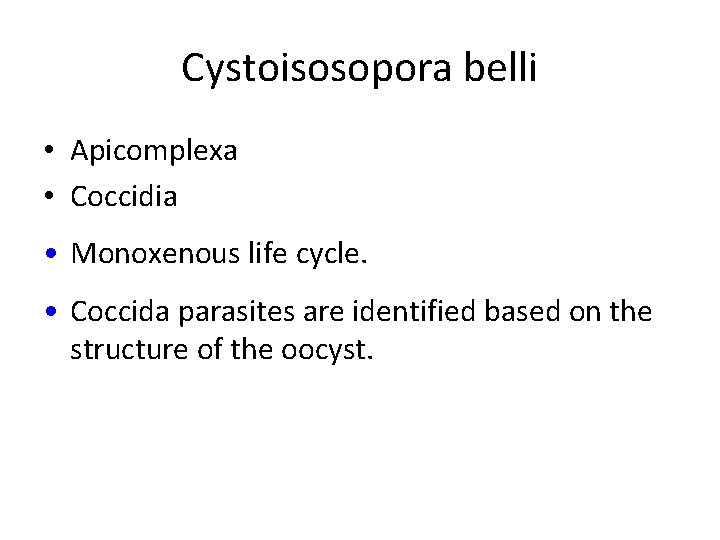 Cystoisosopora belli • Apicomplexa • Coccidia • Monoxenous life cycle. • Coccida parasites are