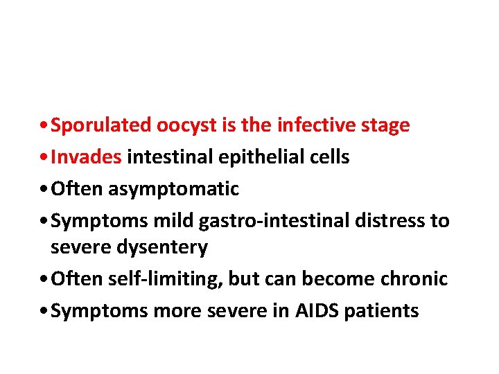  • Sporulated oocyst is the infective stage • Invades intestinal epithelial cells •