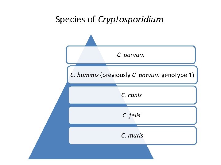 Species of Cryptosporidium C. parvum C. hominis (previously C. parvum genotype 1) C. canis,