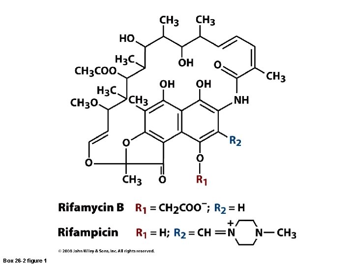 Box 26 -2 figure 1 