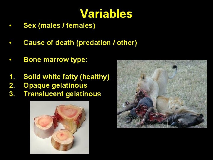 Variables • Sex (males / females) • Cause of death (predation / other) •