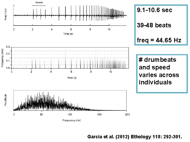 9. 1 -10. 6 sec 39 -48 beats freq = 44. 65 Hz #