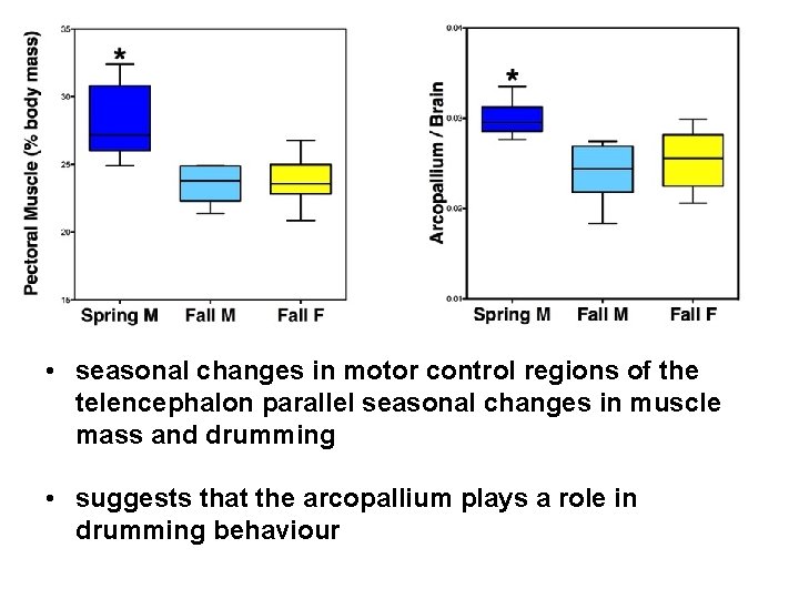  • seasonal changes in motor control regions of the telencephalon parallel seasonal changes