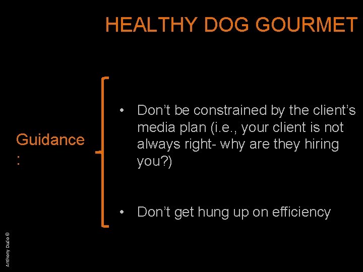 HEALTHY DOG GOURMET Guidance : • Don’t be constrained by the client’s media plan