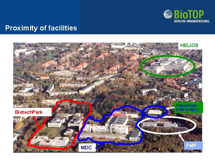 Proximity of facilities HELIOS Genomhaus (FMP & MDC) Biotech. Park MDC FMP 
