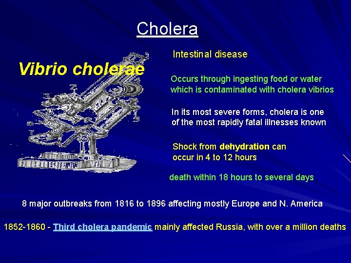 Cholera Vibrio cholerae Intestinal disease Occurs through ingesting food or water which is contaminated