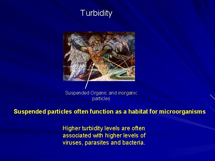 Turbidity Suspended Organic and inorganic particles Suspended particles often function as a habitat for