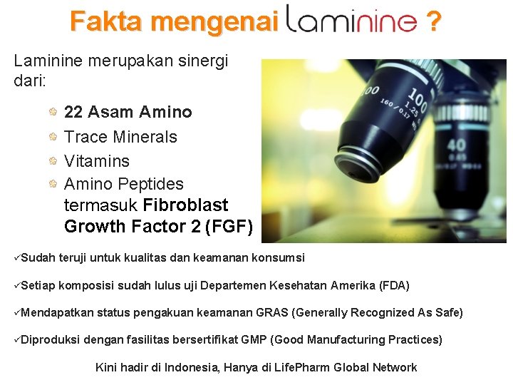 Fakta mengenai ? Laminine merupakan sinergi dari: 22 Asam Amino Trace Minerals Vitamins Amino