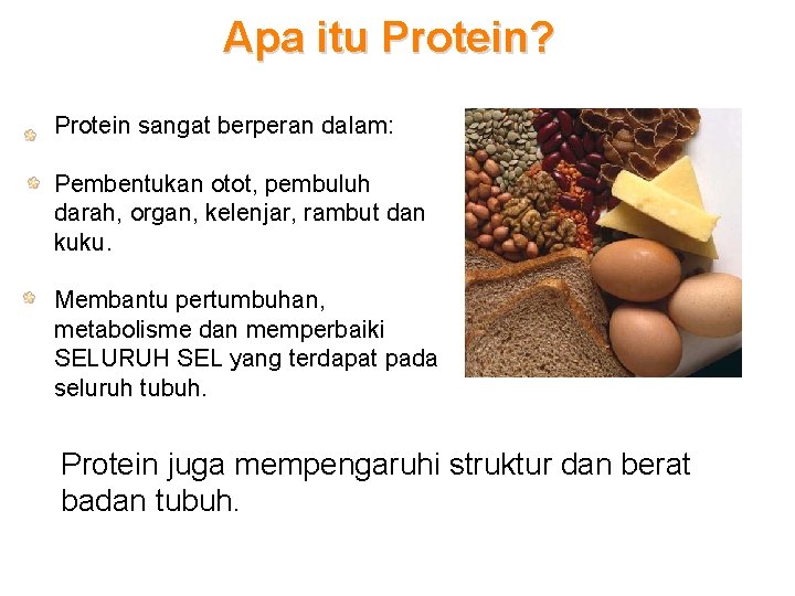 Apa itu Protein? Protein sangat berperan dalam: Pembentukan otot, pembuluh darah, organ, kelenjar, rambut