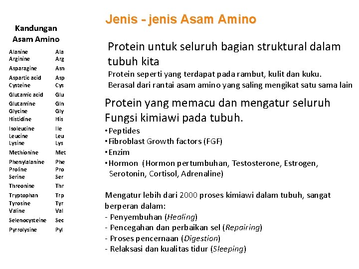 Kandungan Asam Amino Alanine Arginine Ala Arg Asparagine Asn Aspartic acid Cysteine Asp Cys
