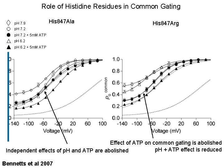 Role of Histidine Residues in Common Gating p. H 7. 9 p. H 7.