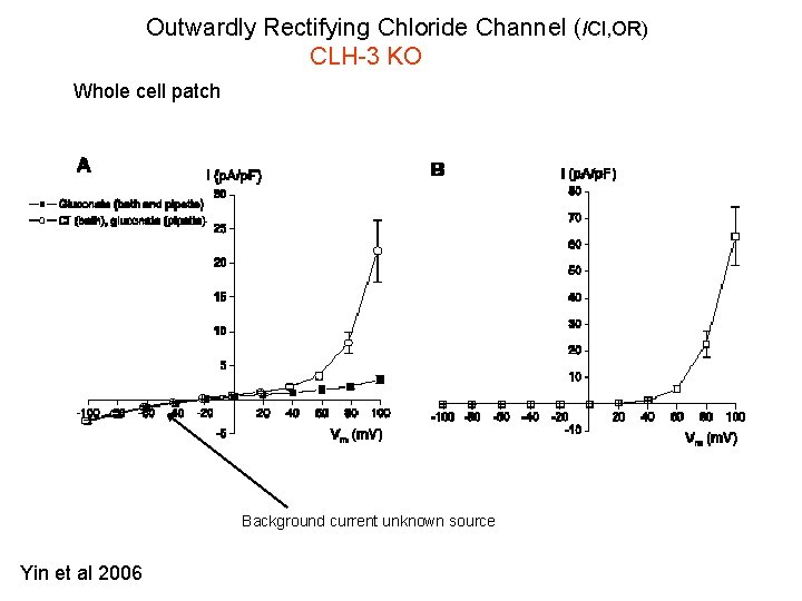 Outwardly Rectifying Chloride Channel (ICl, OR) CLH-3 KO Whole cell patch Background current unknown