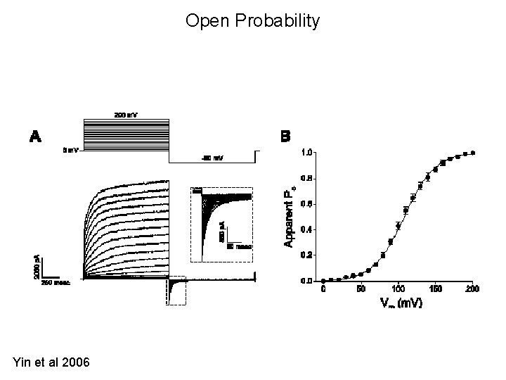 Open Probability Yin et al 2006 