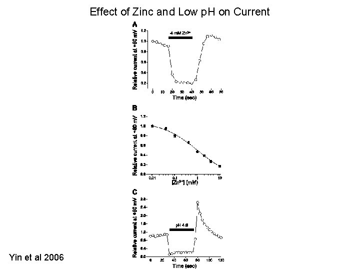 Effect of Zinc and Low p. H on Current Yin et al 2006 