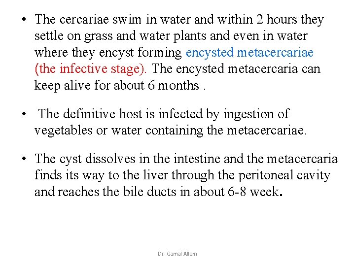  • The cercariae swim in water and within 2 hours they settle on