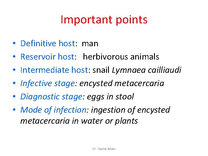 Important points • • • Definitive host: man Reservoir host: herbivorous animals Intermediate host: