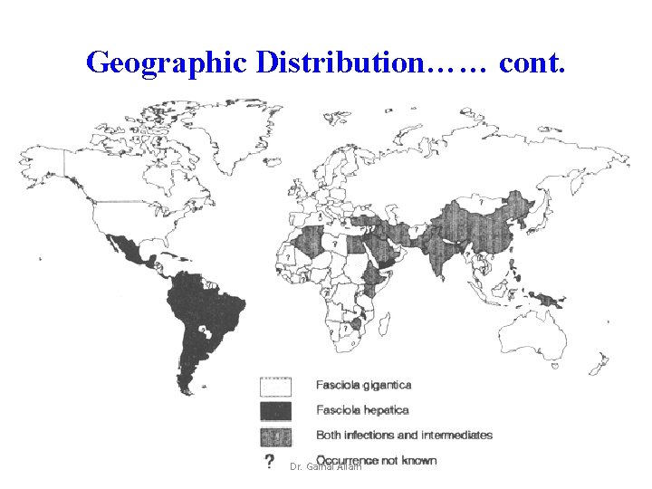 Geographic Distribution…… cont. Dr. Gamal Allam 