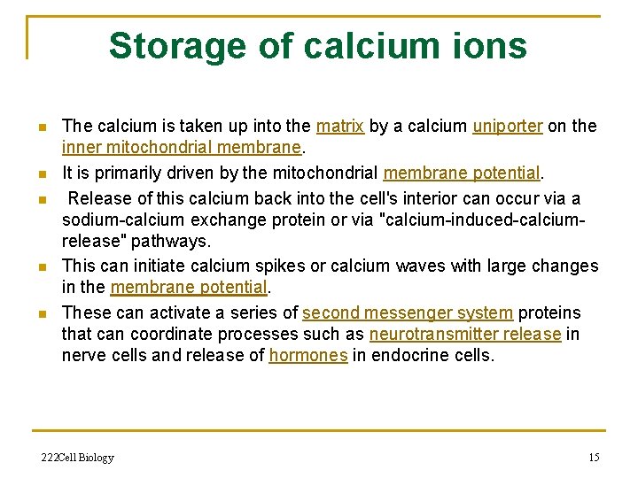 Storage of calcium ions n n n The calcium is taken up into the