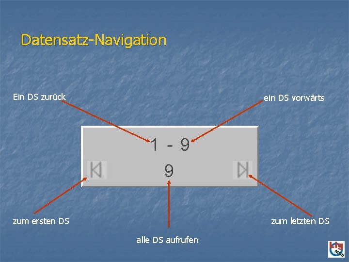 Datensatz-Navigation Ein DS zurück ein DS vorwärts zum ersten DS zum letzten DS alle