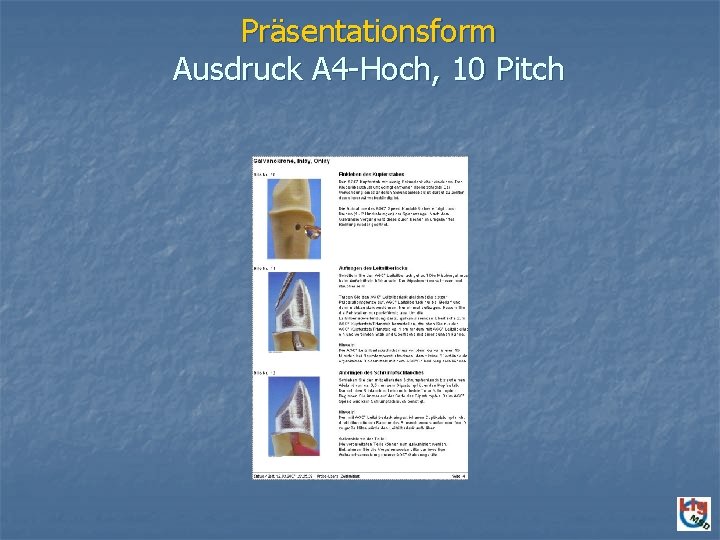 Präsentationsform Ausdruck A 4 -Hoch, 10 Pitch 