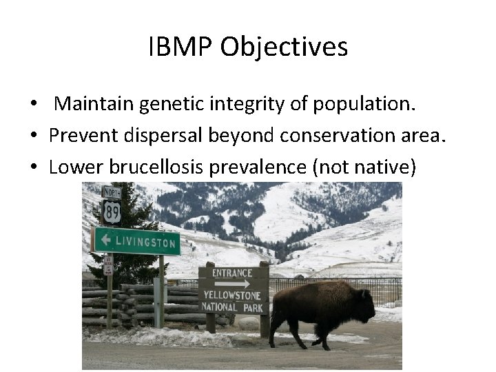 IBMP Objectives • Maintain genetic integrity of population. • Prevent dispersal beyond conservation area.