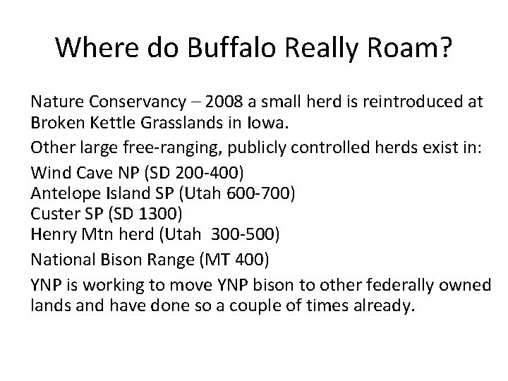 Where do Buffalo Really Roam? Nature Conservancy – 2008 a small herd is reintroduced