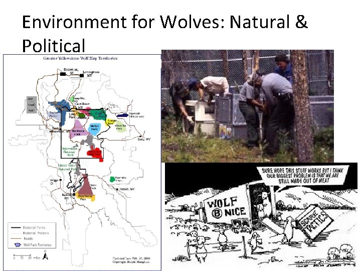 Environment for Wolves: Natural & Political 