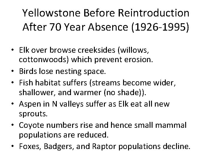 Yellowstone Before Reintroduction After 70 Year Absence (1926 -1995) • Elk over browse creeksides