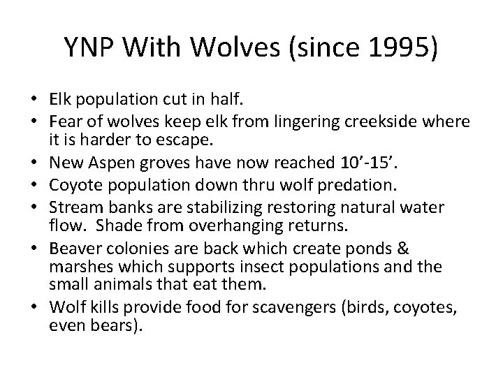 YNP With Wolves (since 1995) • Elk population cut in half. • Fear of