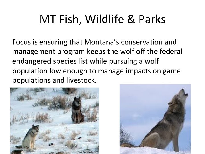 MT Fish, Wildlife & Parks Focus is ensuring that Montana’s conservation and management program