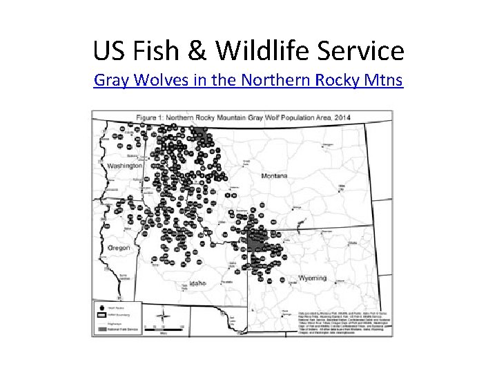 US Fish & Wildlife Service Gray Wolves in the Northern Rocky Mtns 