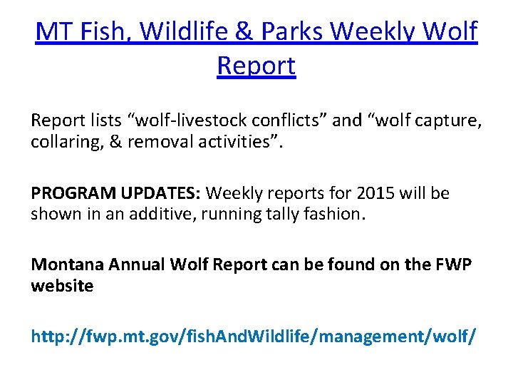 MT Fish, Wildlife & Parks Weekly Wolf Report lists “wolf-livestock conflicts” and “wolf capture,