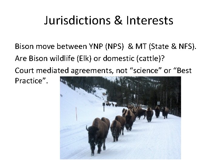 Jurisdictions & Interests Bison move between YNP (NPS) & MT (State & NFS). Are