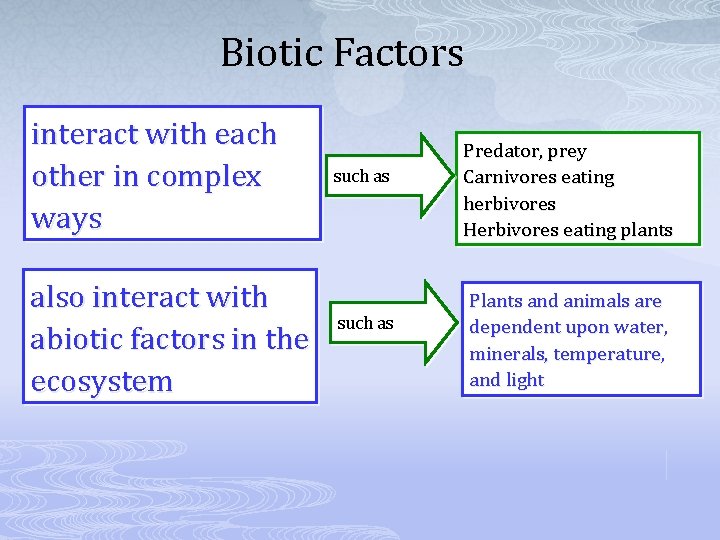 Biotic Factors interact with each other in complex ways also interact with abiotic factors