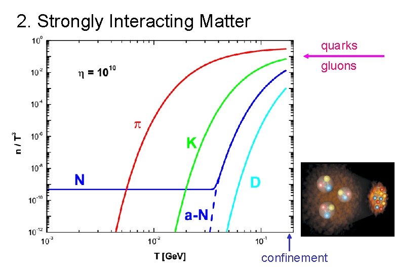 2. Strongly Interacting Matter quarks gluons confinement 