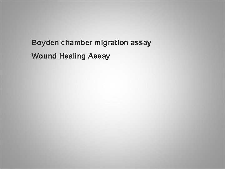 Boyden chamber migration assay Wound Healing Assay 