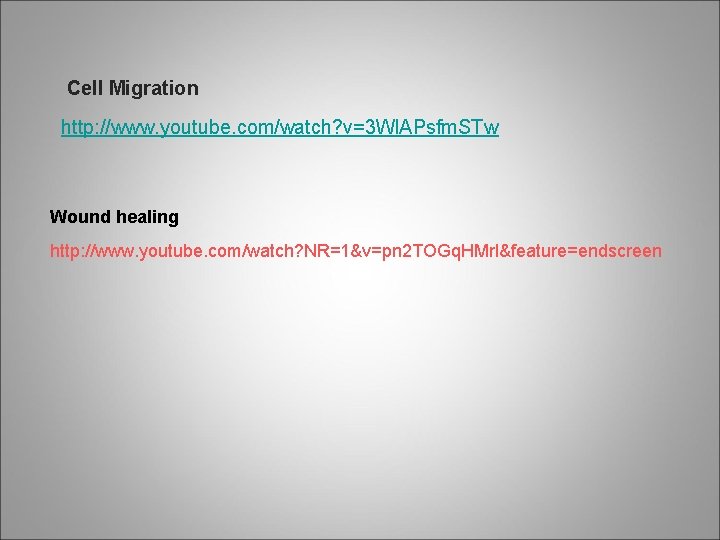 Cell Migration http: //www. youtube. com/watch? v=3 Wl. APsfm. STw Wound healing http: //www.