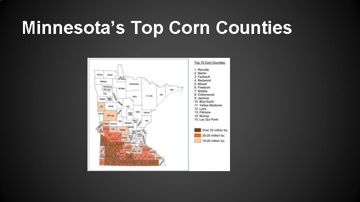 Minnesota’s Top Corn Counties 