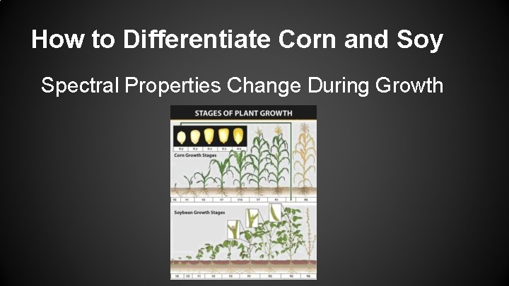 How to Differentiate Corn and Soy Spectral Properties Change During Growth 