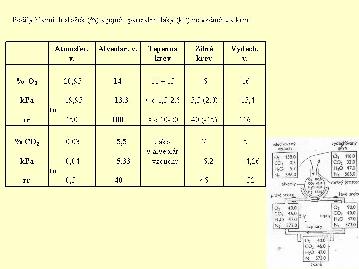 Podíly hlavních složek (%) a jejich parciální tlaky (k. P) ve vzduchu a krvi