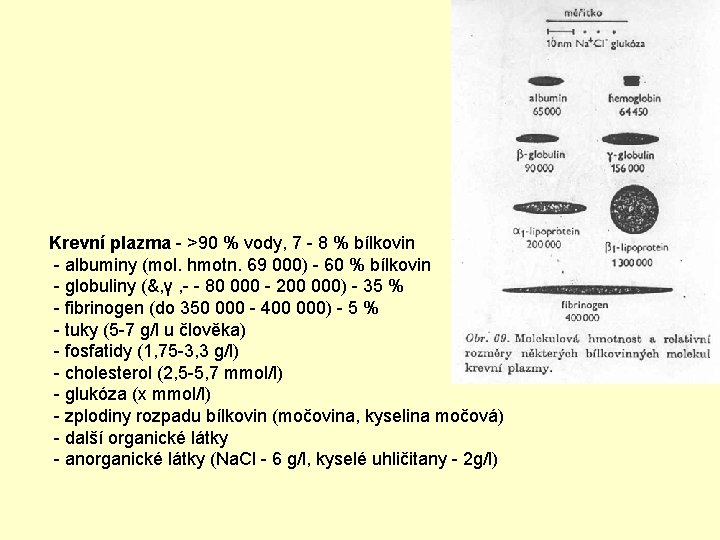 Krevní plazma - >90 % vody, 7 - 8 % bílkovin - albuminy (mol.