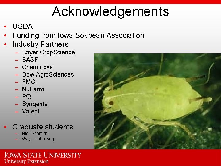 Acknowledgements • USDA • Funding from Iowa Soybean Association • Industry Partners – –
