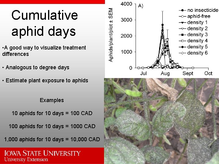 Cumulative aphid days • A good way to visualize treatment differences • Analogous to