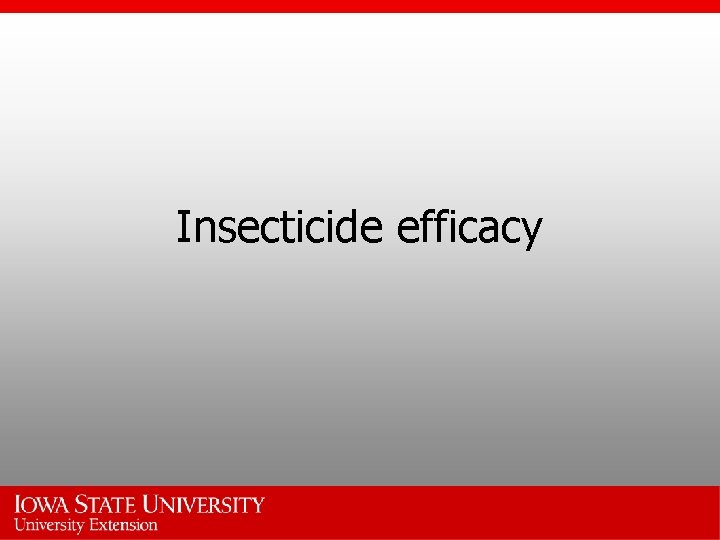 Insecticide efficacy 