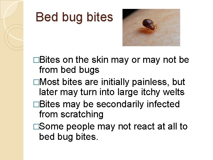Bed bug bites �Bites on the skin may or may not be from bed