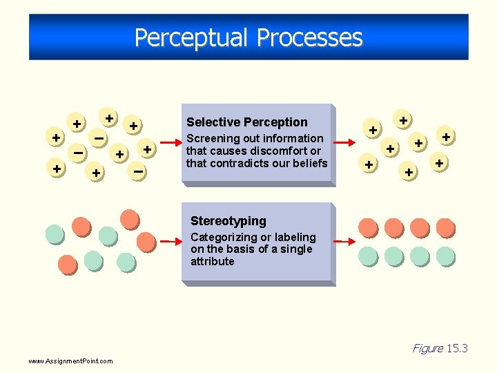 Perceptual Processes + + + – + + Selective Perception + + – Screening