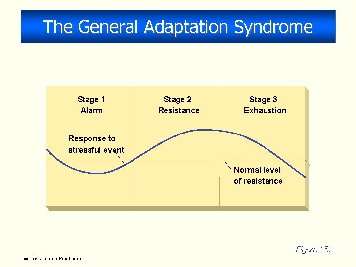 The General Adaptation Syndrome Stage 1 Alarm Stage 2 Resistance Stage 3 Exhaustion Response